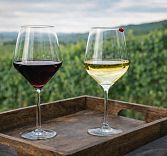 Винная дегустация: вулканические вина