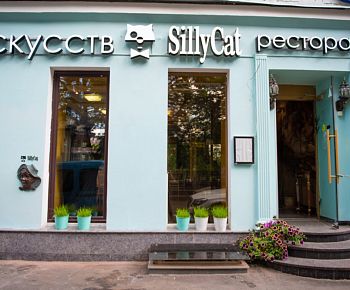 SillyCat / Силикет (закрыт)