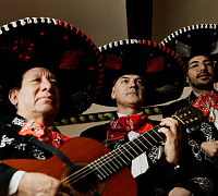 Casa Agave фото 4
