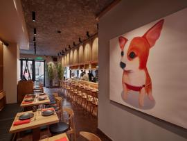 Весеннее преображение ресторана Shiba: цветение сакуры и сезонное меню