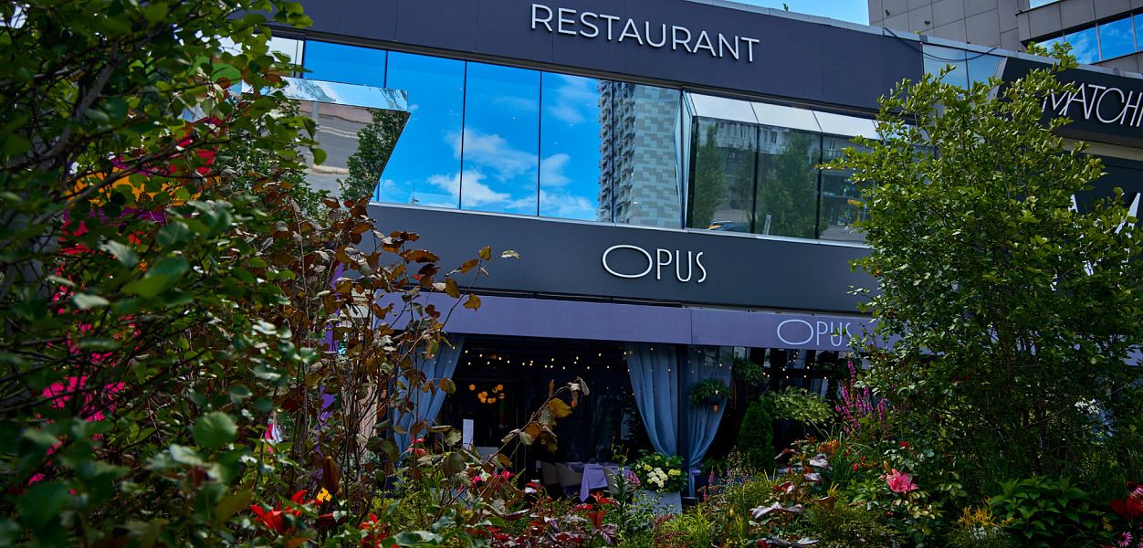 OPUS (закрыт) - фотография № 33