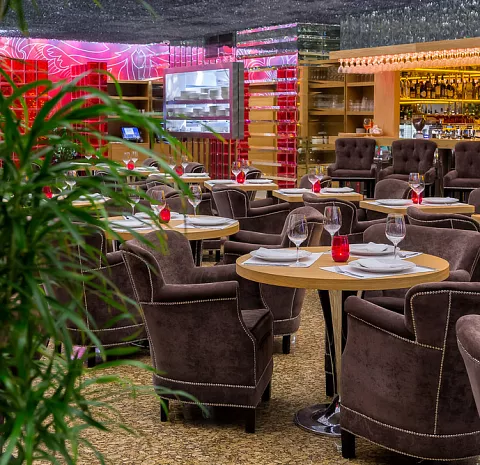 Simachyard / Симачярд