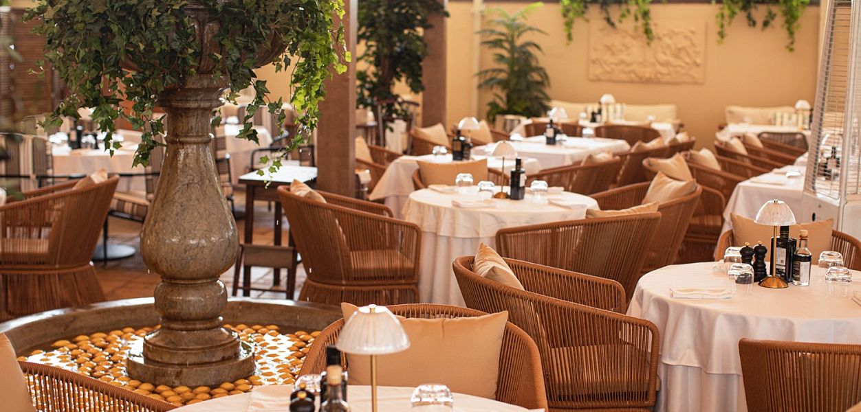 Bistrot / Бистрот - фотография № 4