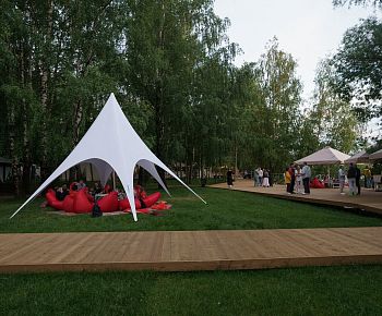 Берёзы парк