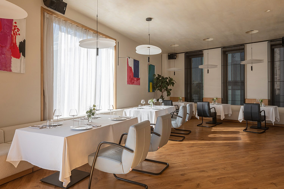 Sansa - фотография № 8