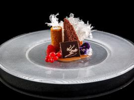 Выставка к 100-летнему юбилею Майи Плисецкой