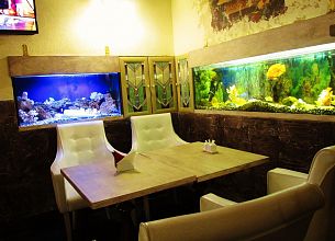 Argomento Backyard Bar фото 12