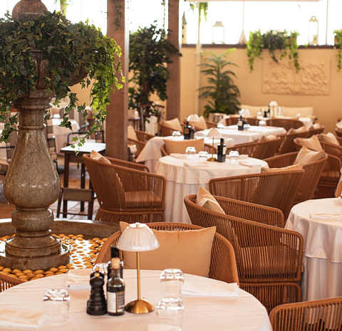 Bistrot / Бистрот