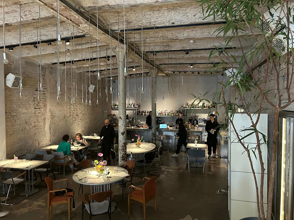 Soma - фотография № 3