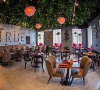 True Stories bar & kitchen (закрыт) фото 7