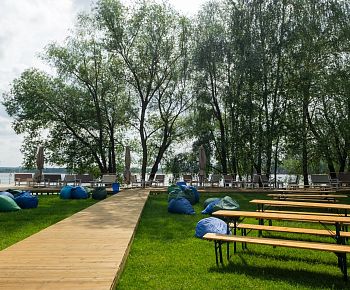 Берёзы парк