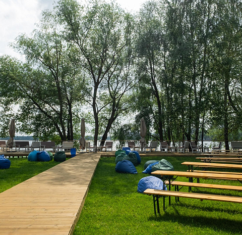 Берёзы парк