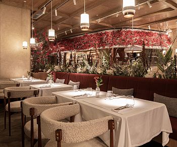 Ava Bistro