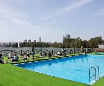 Берёзы парк