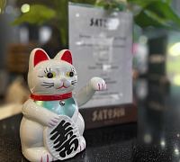 Satoshi (Цветной) фото 3