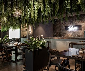 Bluefin Жуковка