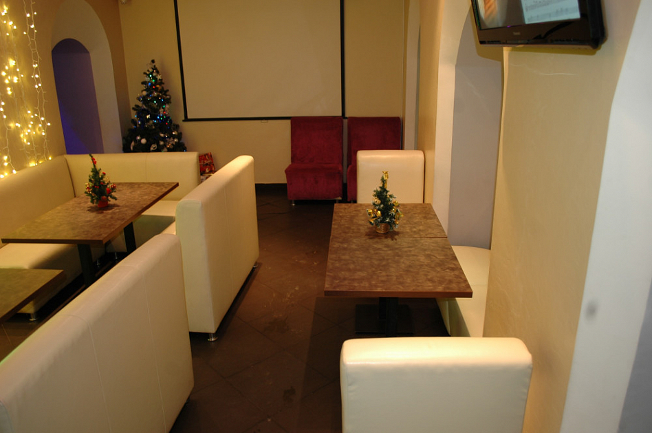 Цвет ресторан-караоке / ЦVет (закрыт) - фотография № 5 (фото предоставлено заведением)