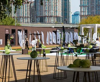 Берёзы парк