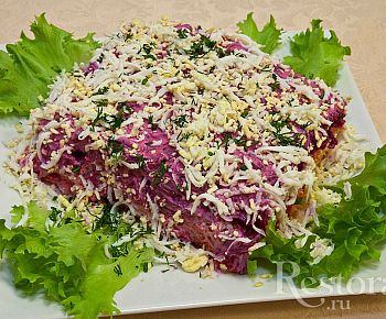 Линии вкуса (закрыт)