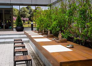 Terrace Plaza Garden Cafe фото 16