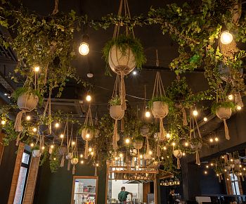 ВьетКафе (Новые Черёмушки)