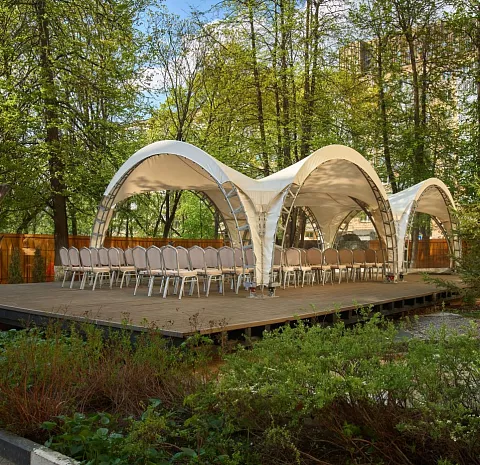 Луна и лотос
