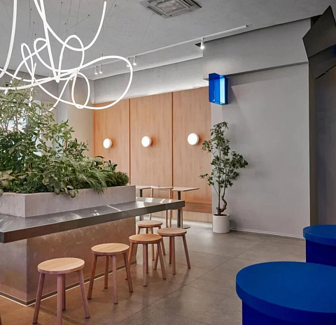 Udon Noodles & Drinks