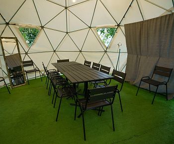 Берёзы парк