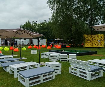 Берёзы парк