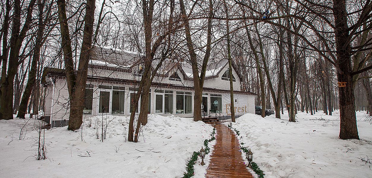 Forest lounge / Форест лаундж - фотография № 44
