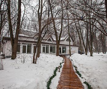 Forest lounge / Форест лаундж