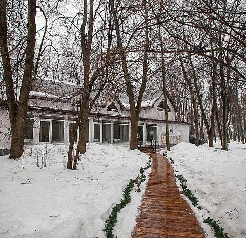 Forest lounge / Форест лаундж