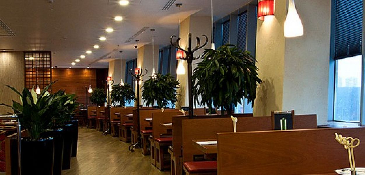 The Noodle House (закрыт) - фотография № 5