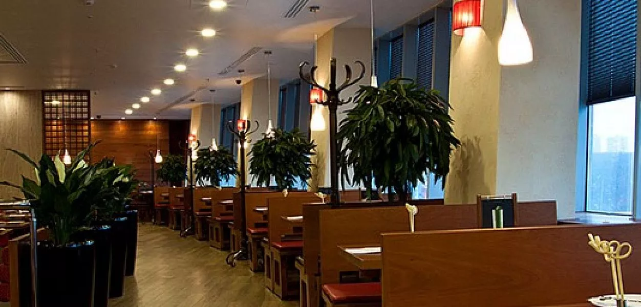 The Noodle House (закрыт) - фотография № 5