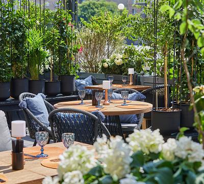 Black Thai / Блэк Тай