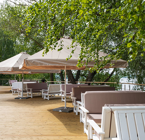 Берёзы парк