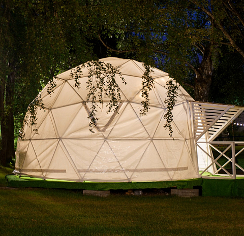 Берёзы парк