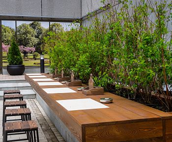 Terrace Plaza Garden Cafe
