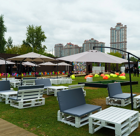 Берёзы парк