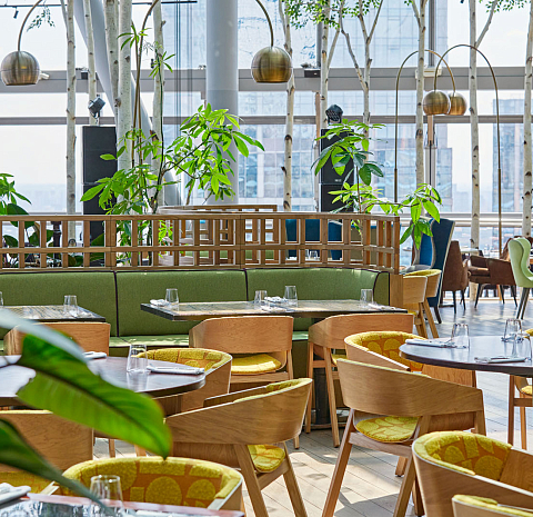 Sixty / Сиксти