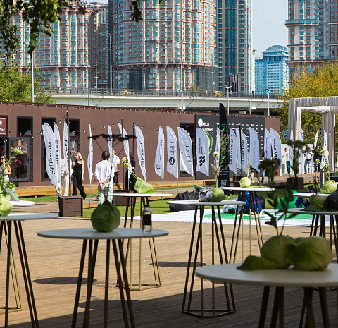 Берёзы парк